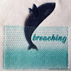 Whale Breaching