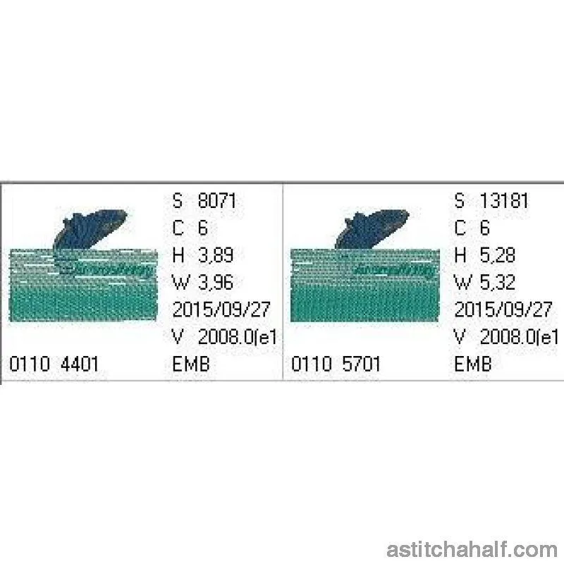 Whale Breaching