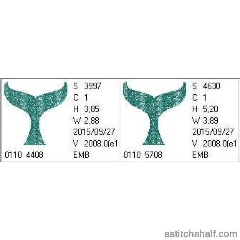 Whale Fluke