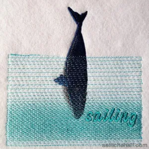 Whale Sailing