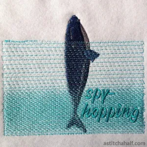 Whale Spyhopping
